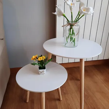 Girasoli Ascoli Piceno