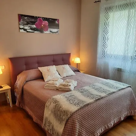 Girasoli Ascoli Piceno