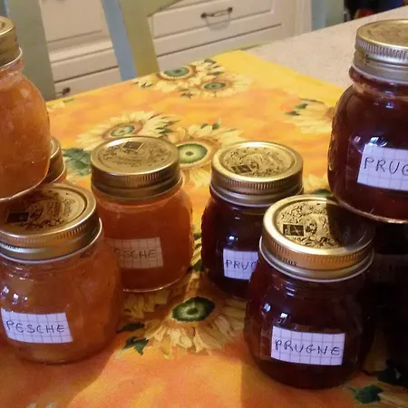 Girasoli 3* Ascoli Piceno